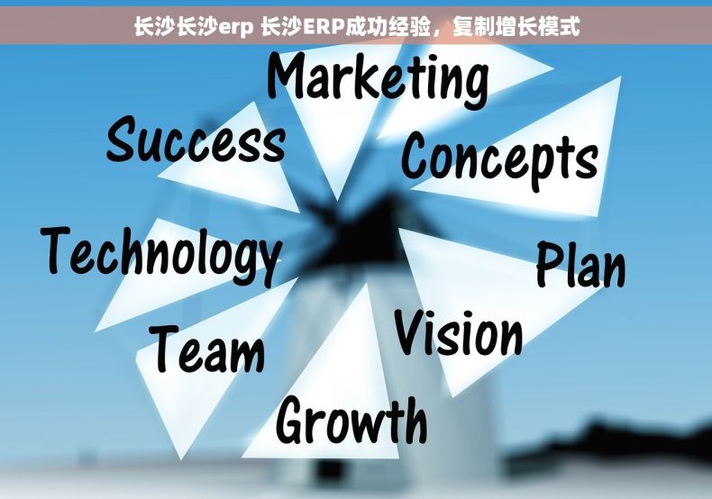 长沙长沙erp 长沙ERP成功经验，复制增长模式