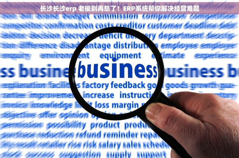 长沙长沙erp 老板别再愁了!ERP系统帮你解决经营难题 长沙长沙erp 老板别再愁了!ERP系统帮你解决经营难题