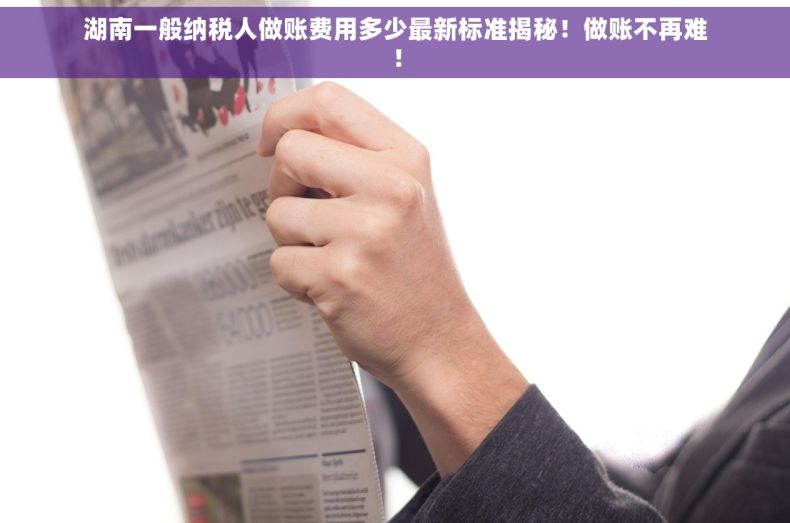 湖南一般纳税人做账费用多少最新标准揭秘!做账不再难! 湖南一般纳税人做账费用多少最新标准揭秘!做账不再难!