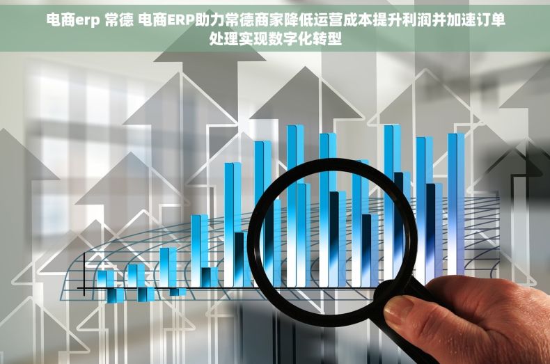 电商erp 常德 电商ERP助力常德商家降低运营成本提升利润并加速订单处理实现数字化转型 电商erp 常德 电商ERP助力常德商家降低运营成本提升利润并加速订单处理实现数字化转型