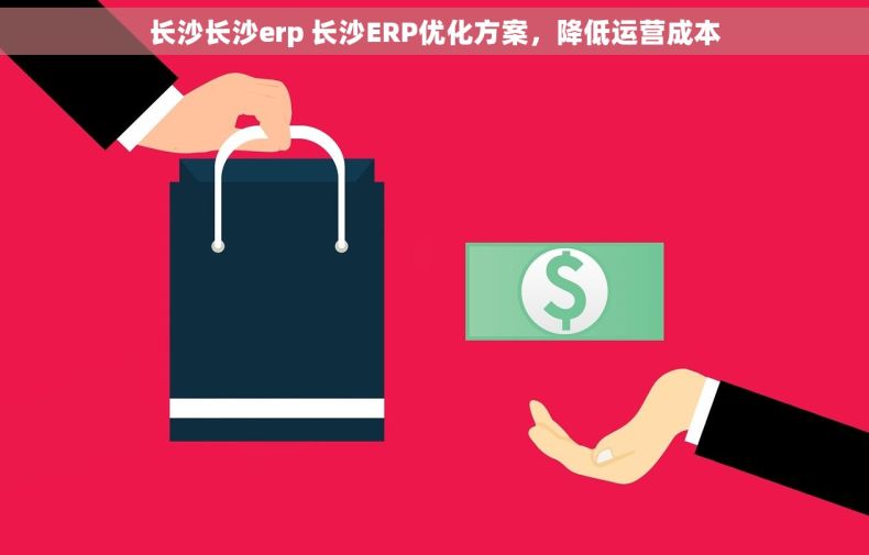 长沙长沙erp 长沙ERP优化方案,降低运营成本 长沙长沙erp 长沙ERP优化方案,降低运营成本