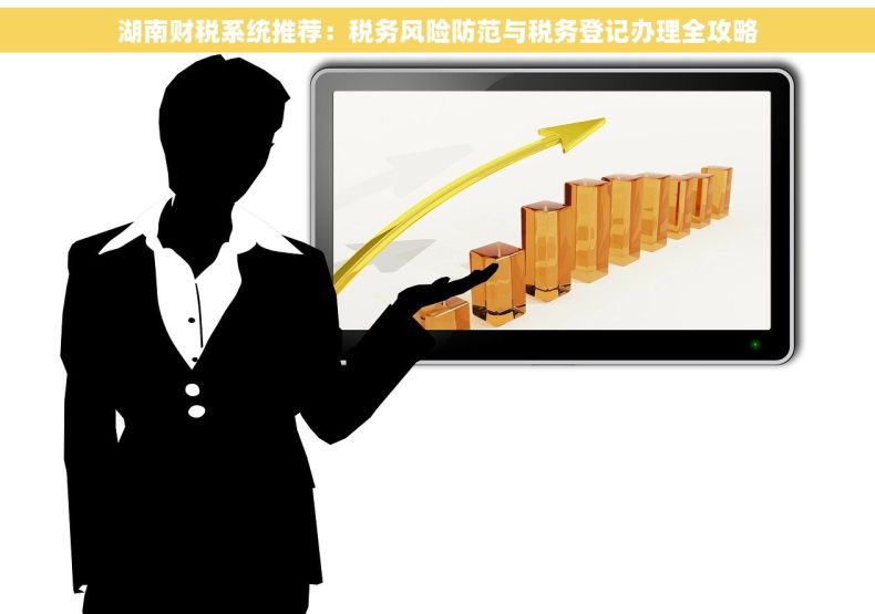 湖南财税系统推荐:税务风险防范与税务登记办理全攻略 湖南财税系统推荐:税务风险防范与税务登记办理全攻略