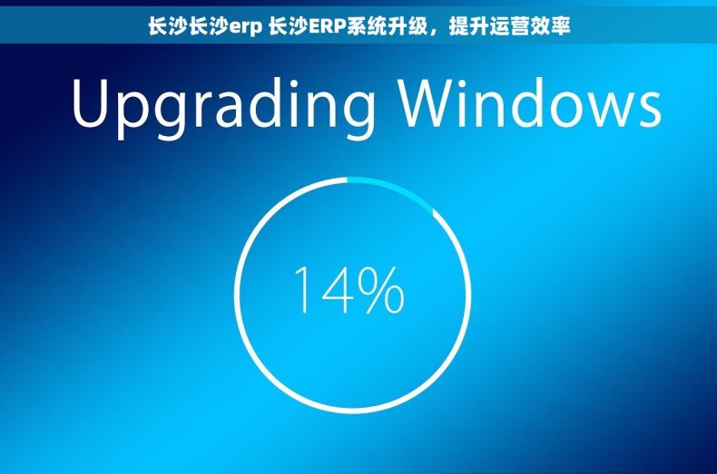 长沙长沙erp 长沙ERP系统升级,提升运营效率 长沙长沙erp 长沙ERP系统升级,提升运营效率