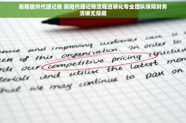 衡阳提供代理记账 衡阳代理记账流程透明化专业团队保障财务清晰无隐藏 衡阳提供代理记账 衡阳代理记账流程透明化专业团队保障财务清晰无隐藏