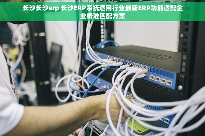长沙长沙erp 长沙ERP系统适用行业最新ERP功能适配企业精准匹配方案 长沙长沙erp 长沙ERP系统适用行业最新ERP功能适配企业精准匹配方案