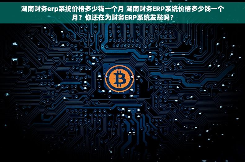 湖南财务erp系统价格多少钱一个月 湖南财务ERP系统价格多少钱一个月？你还在为财务ERP系统发愁吗？