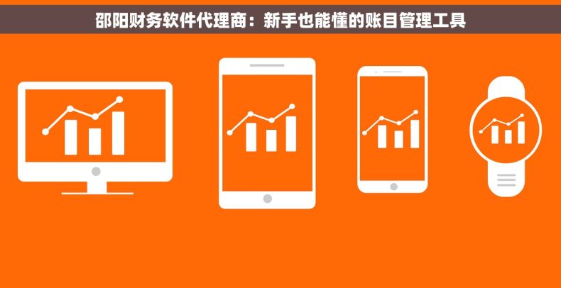 邵阳财务软件代理商：新手也能懂的账目管理工具