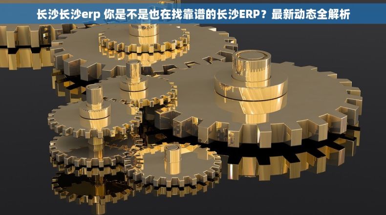 长沙长沙erp 你是不是也在找靠谱的长沙ERP?最新动态全解析 长沙长沙erp 你是不是也在找靠谱的长沙ERP?最新动态全解析