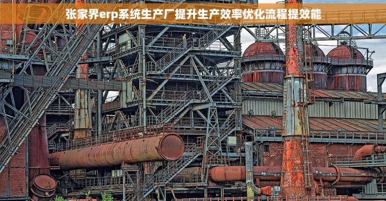 张家界erp系统生产厂提升生产效率优化流程提效能 张家界erp系统生产厂提升生产效率优化流程提效能
