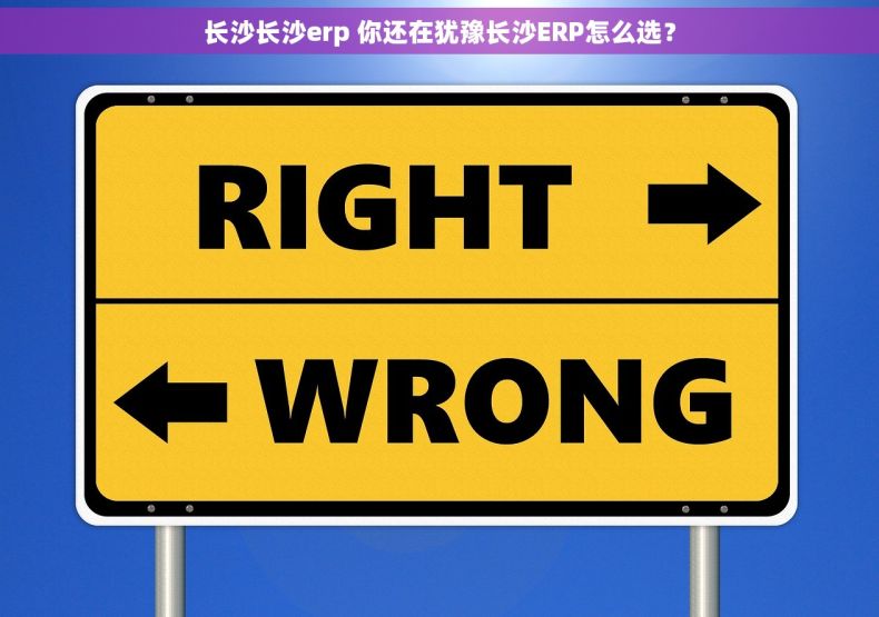 长沙长沙erp 你还在犹豫长沙ERP怎么选? 长沙长沙erp 你还在犹豫长沙ERP怎么选?