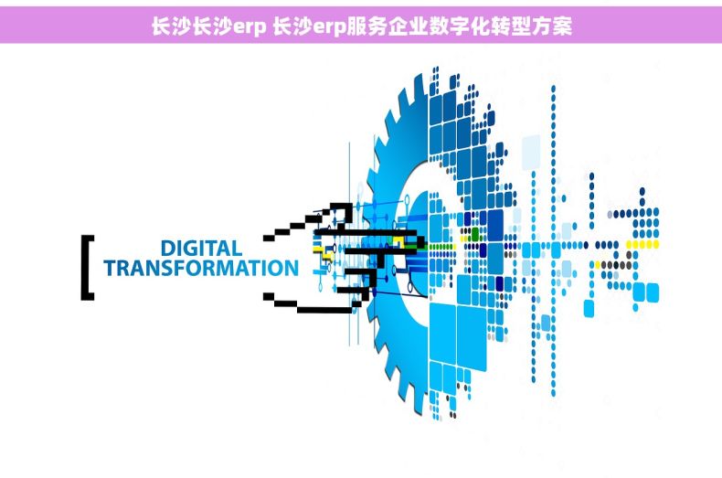 长沙长沙erp 长沙erp服务企业数字化转型方案