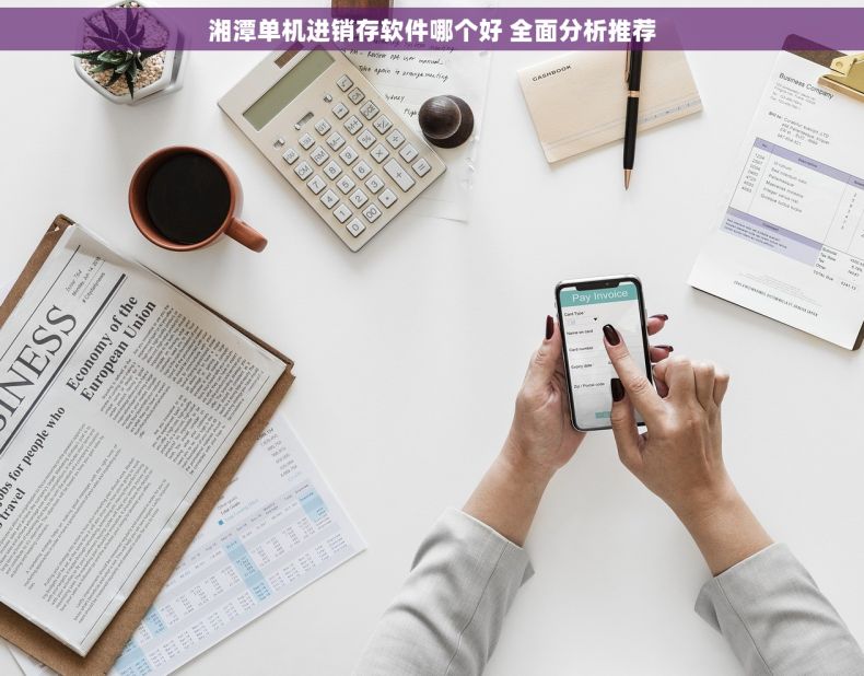 湘潭单机进销存软件哪个好 全面分析推荐