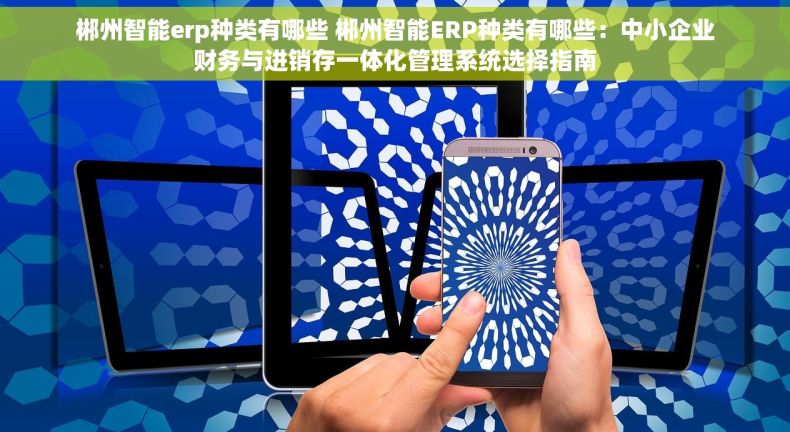 郴州智能erp种类有哪些 郴州智能ERP种类有哪些:中小企业财务与进销存一体化管理系统选择指南 郴州智能erp种类有哪些 郴州智能ERP种类有哪些:中小企业财务与进销存一体化管理系统选择指南