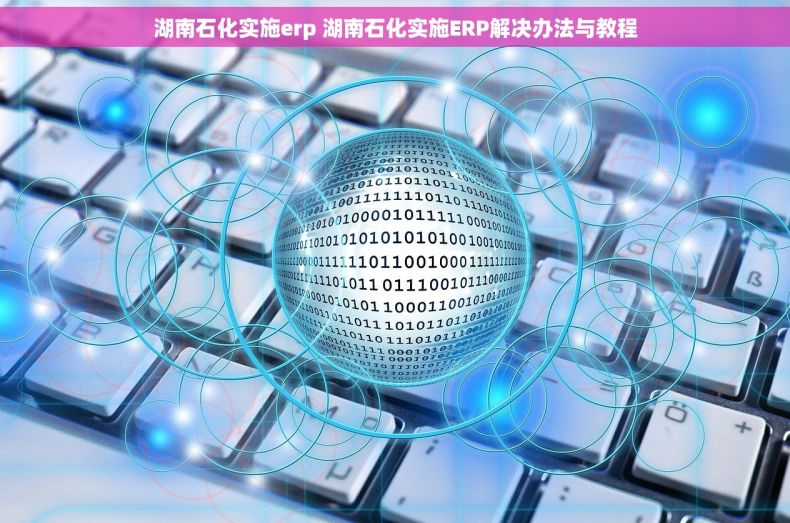 湖南石化实施erp 湖南石化实施ERP解决办法与教程