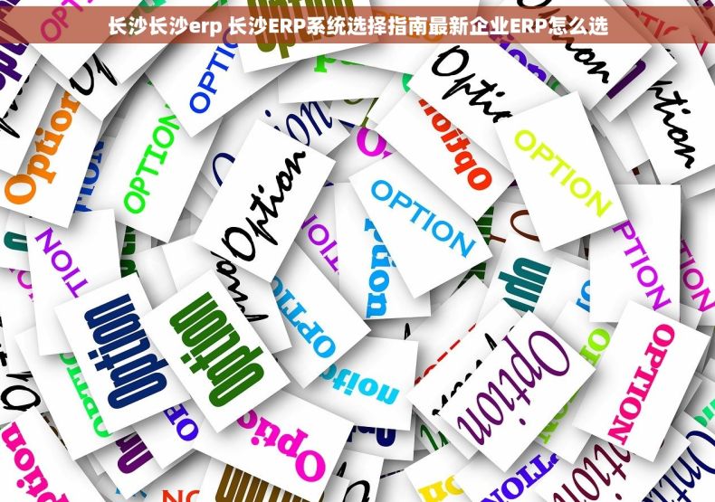 长沙长沙erp 长沙ERP系统选择指南最新企业ERP怎么选 长沙长沙erp 长沙ERP系统选择指南最新企业ERP怎么选