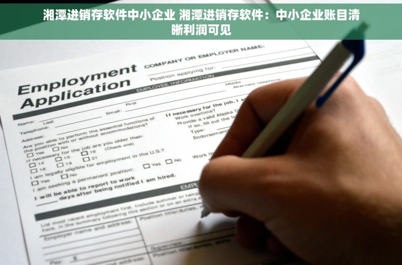 湘潭进销存软件中小企业 湘潭进销存软件：中小企业账目清晰利润可见