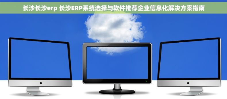 长沙长沙erp 长沙ERP系统选择与软件推荐企业信息化解决方案指南 长沙长沙erp 长沙ERP系统选择与软件推荐企业信息化解决方案指南