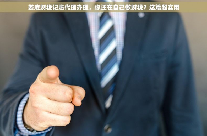 娄底财税记账代理办理，你还在自己做财税？这篇超实用