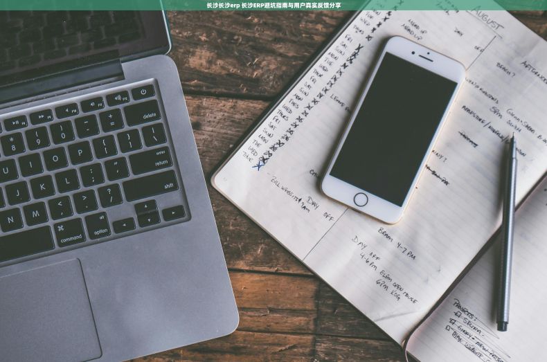 长沙长沙erp 长沙ERP避坑指南与用户真实反馈分享 长沙长沙erp 长沙ERP避坑指南与用户真实反馈分享
