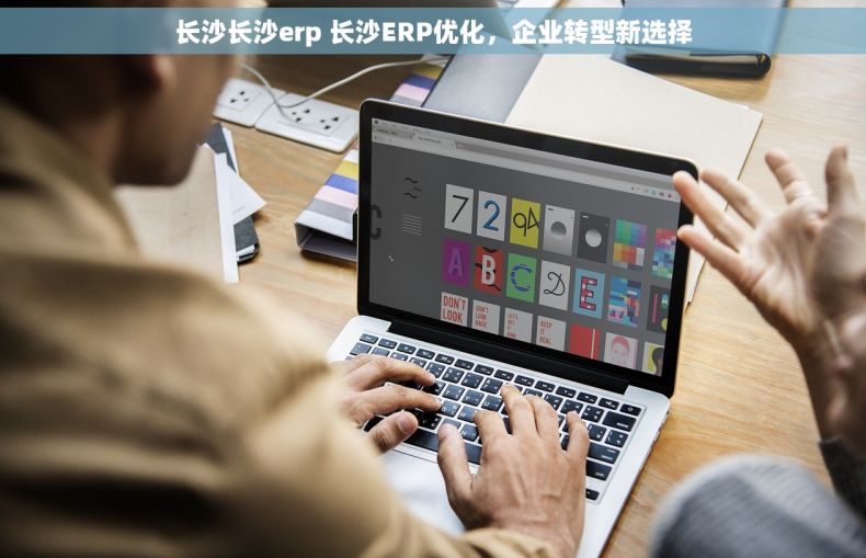 长沙长沙erp 长沙ERP优化,企业转型新选择 长沙长沙erp 长沙ERP优化,企业转型新选择