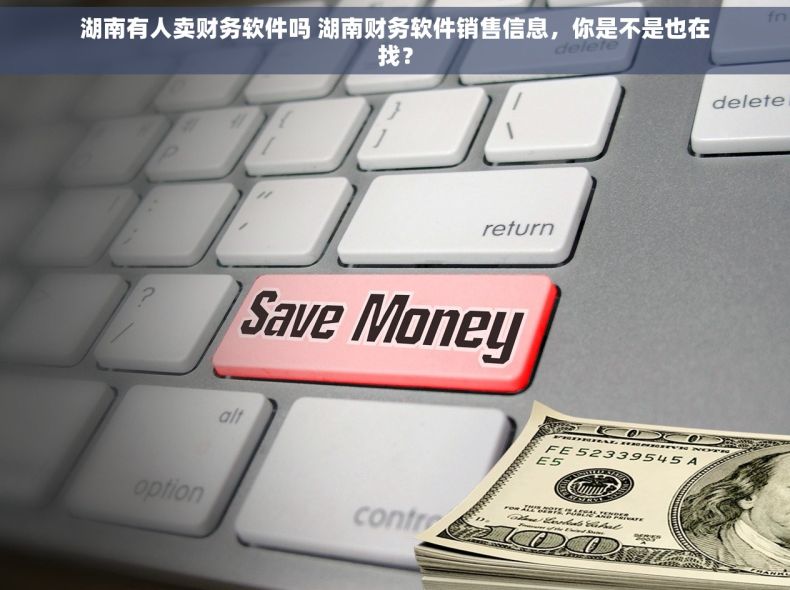 湖南有人卖财务软件吗 湖南财务软件销售信息，你是不是也在找？