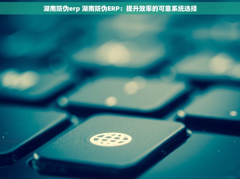 湖南防伪erp 湖南防伪ERP:提升效率的可靠系统选择 湖南防伪erp 湖南防伪ERP:提升效率的可靠系统选择