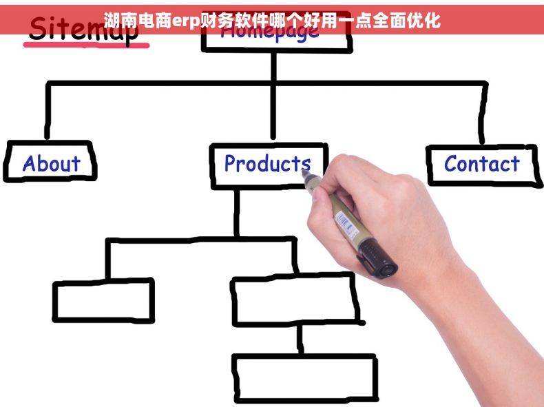 湖南电商erp财务软件哪个好用一点全面优化