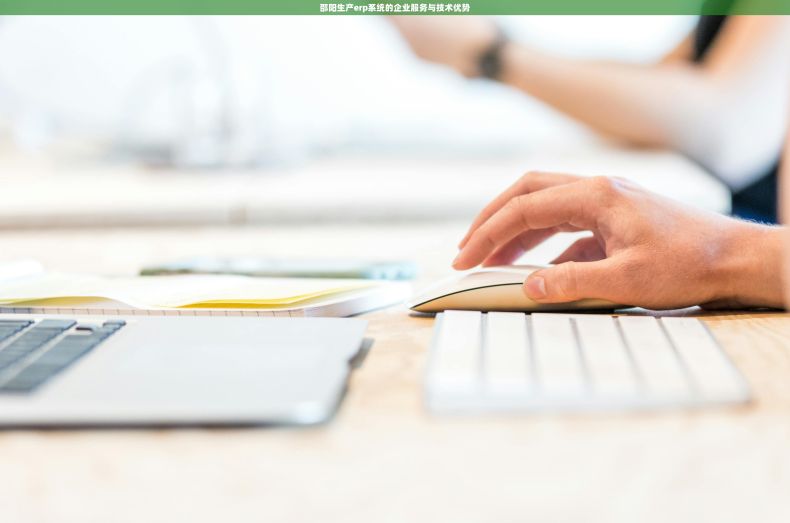 邵阳生产erp系统的企业服务与技术优势 邵阳生产erp系统的企业服务与技术优势