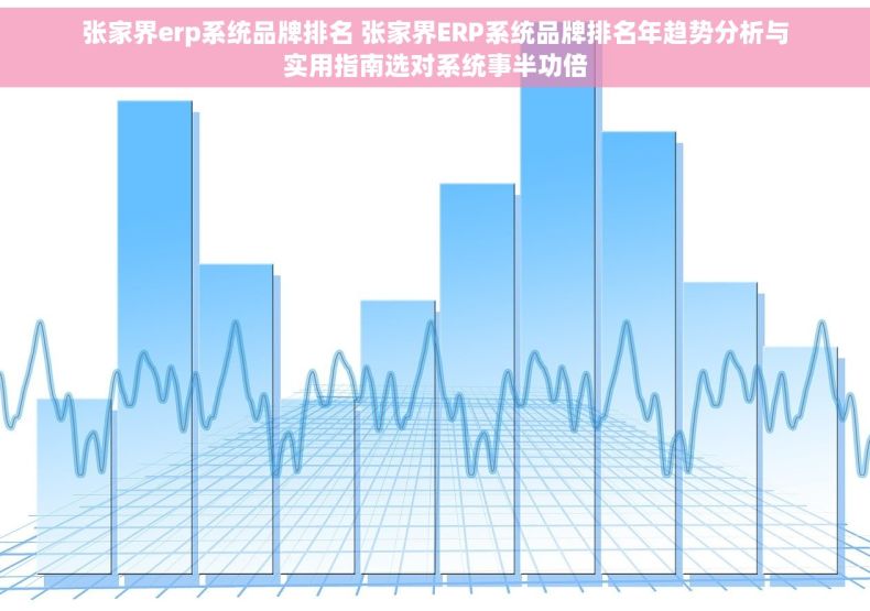 张家界erp系统品牌排名 张家界ERP系统品牌排名年趋势分析与实用指南选对系统事半功倍 张家界erp系统品牌排名 张家界ERP系统品牌排名年趋势分析与实用指南选对系统事半功倍