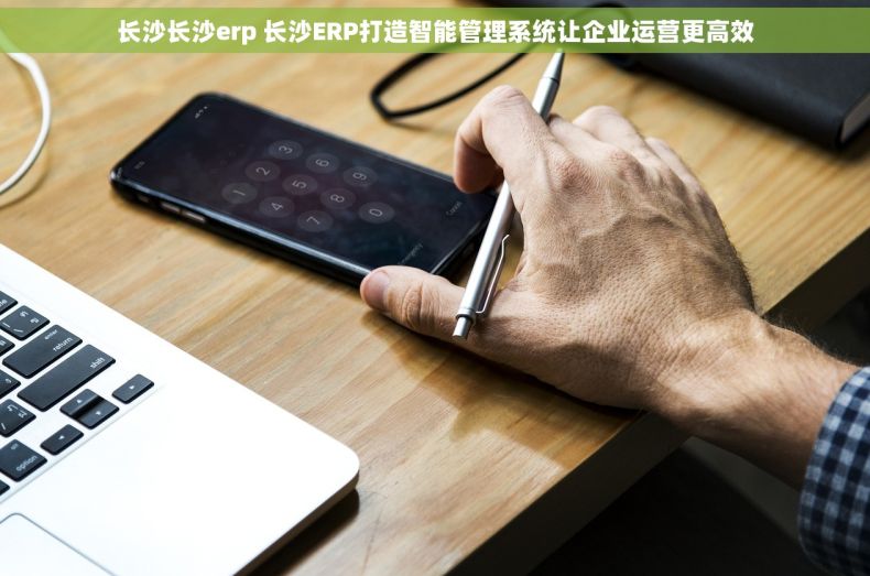 长沙长沙erp 长沙ERP打造智能管理系统让企业运营更高效 长沙长沙erp 长沙ERP打造智能管理系统让企业运营更高效