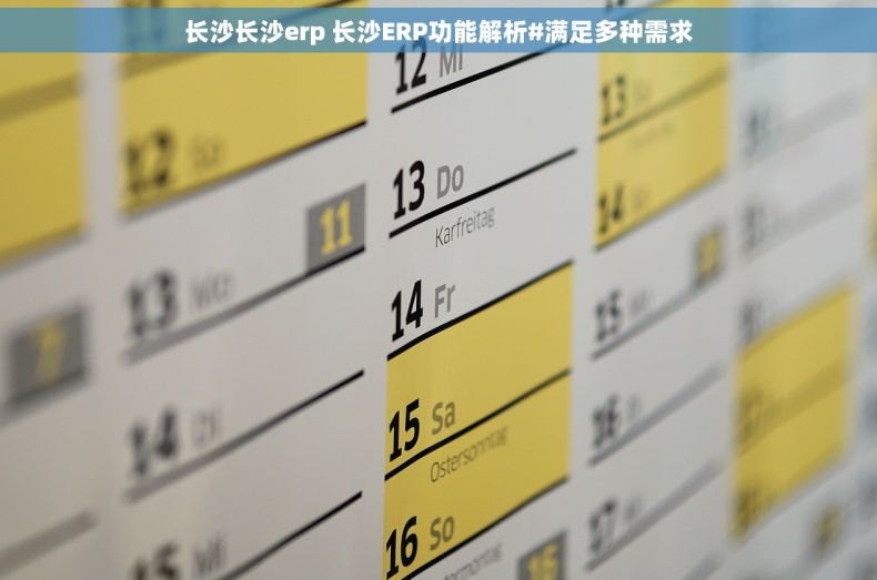 长沙长沙erp 长沙ERP功能解析#满足多种需求 长沙长沙erp 长沙ERP功能解析#满足多种需求