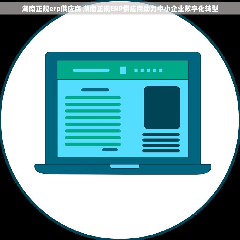 湖南正规erp供应商 湖南正规ERP供应商助力中小企业数字化转型