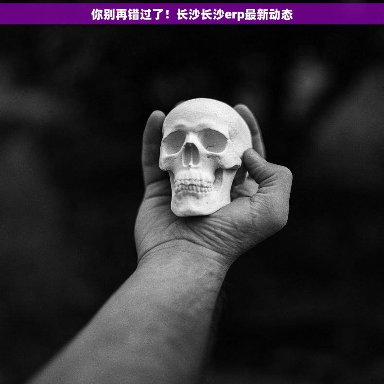 你别再错过了!长沙长沙erp最新动态 你别再错过了!长沙长沙erp最新动态