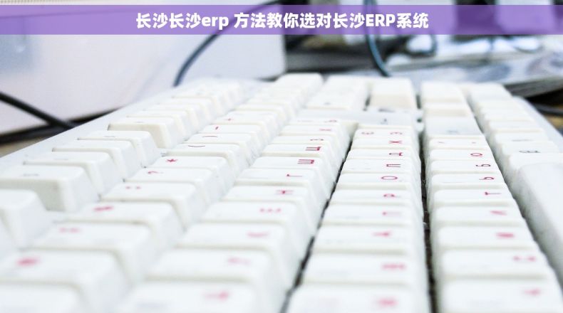 长沙长沙erp 方法教你选对长沙ERP系统