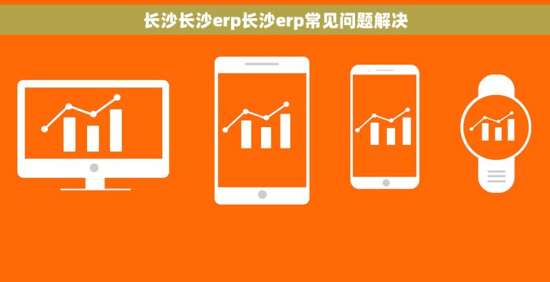 长沙长沙erp长沙erp常见问题解决 长沙长沙erp长沙erp常见问题解决