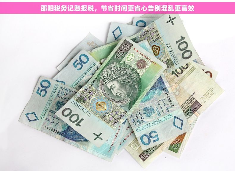 邵阳税务记账报税，节省时间更省心告别混乱更高效