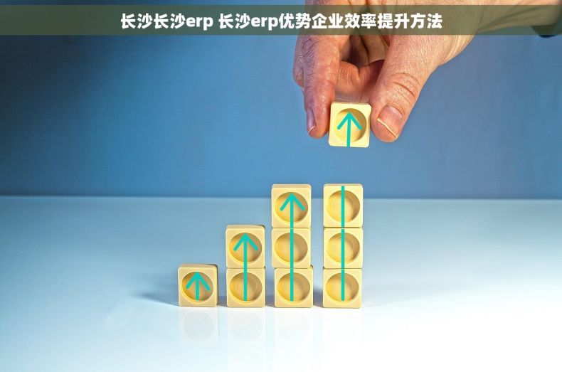 长沙长沙erp 长沙erp优势企业效率提升方法 长沙长沙erp 长沙erp优势企业效率提升方法