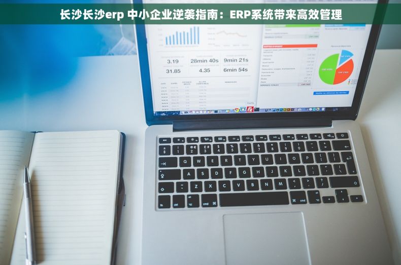 长沙长沙erp 中小企业逆袭指南:ERP系统带来高效管理 长沙长沙erp 中小企业逆袭指南:ERP系统带来高效管理
