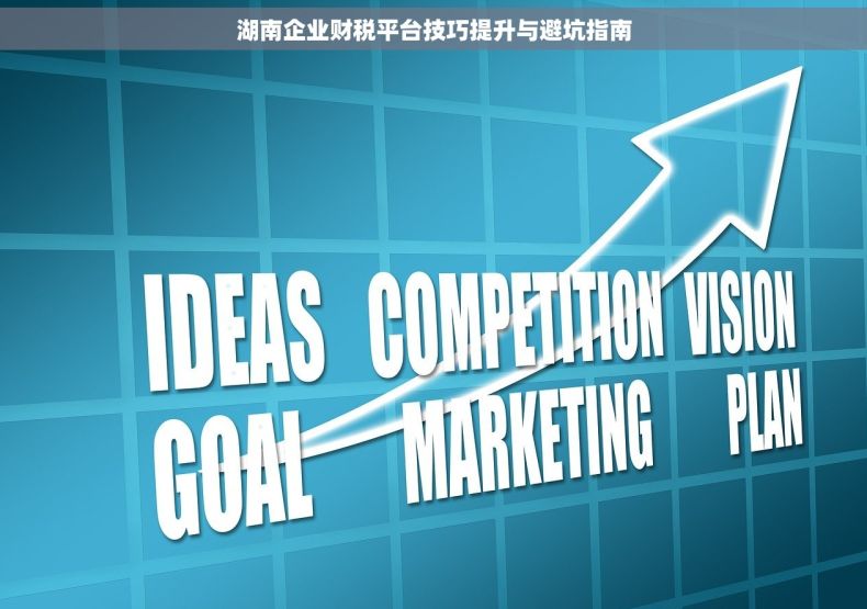 湖南企业财税平台技巧提升与避坑指南