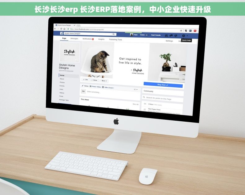 长沙长沙erp 长沙ERP落地案例,中小企业快速升级 长沙长沙erp 长沙ERP落地案例,中小企业快速升级