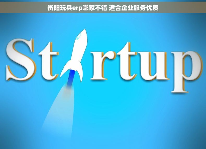 衡阳玩具erp哪家不错 适合企业服务优质