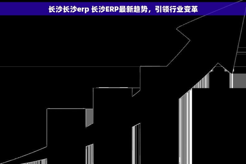 长沙长沙erp 长沙ERP最新趋势，引领行业变革