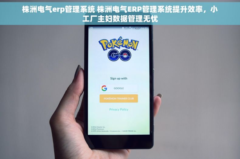 株洲电气erp管理系统 株洲电气ERP管理系统提升效率，小工厂主妇数据管理无忧