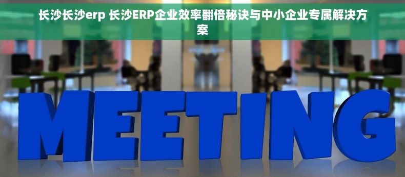 长沙长沙erp 长沙ERP企业效率翻倍秘诀与中小企业专属解决方案