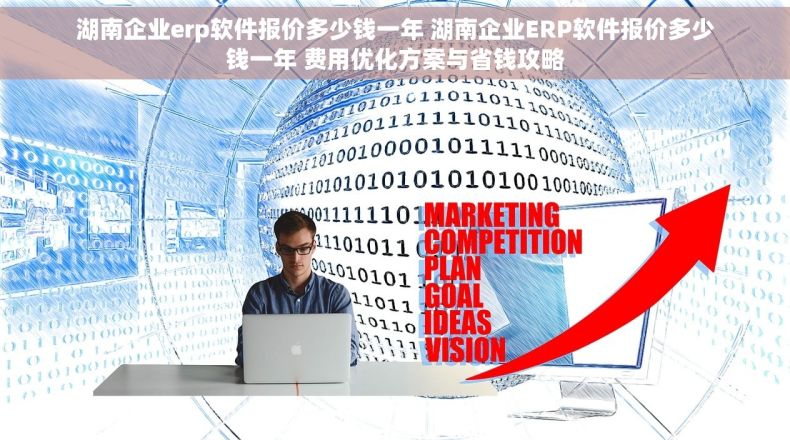 湖南企业erp软件报价多少钱一年 湖南企业ERP软件报价多少钱一年 费用优化方案与省钱攻略 湖南企业erp软件报价多少钱一年 湖南企业ERP软件报价多少钱一年 费用优化方案与省钱攻略