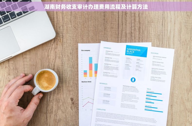 湖南财务收支审计办理费用流程及计算方法