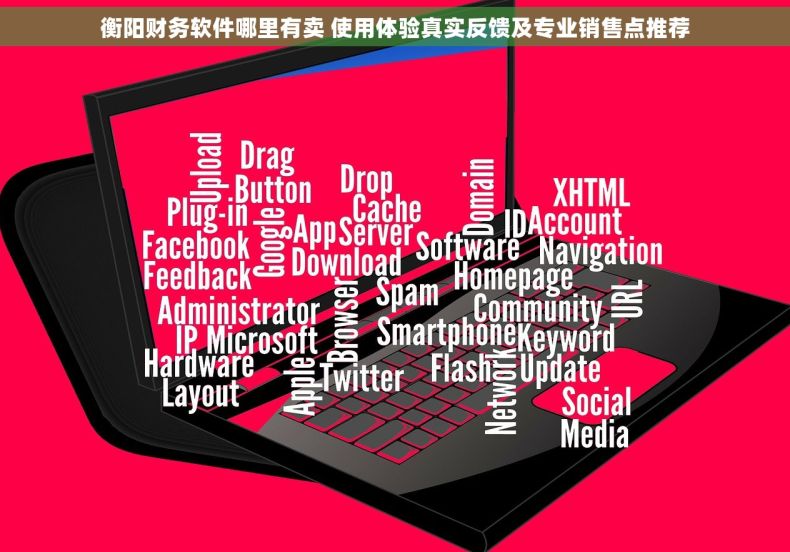 衡阳财务软件哪里有卖 使用体验真实反馈及专业销售点推荐