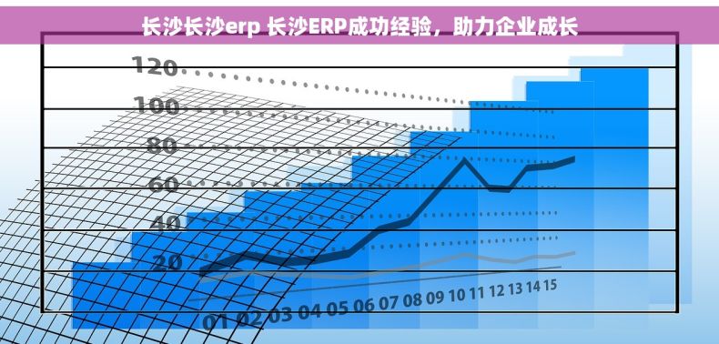 长沙长沙erp 长沙ERP成功经验,助力企业成长 长沙长沙erp 长沙ERP成功经验,助力企业成长