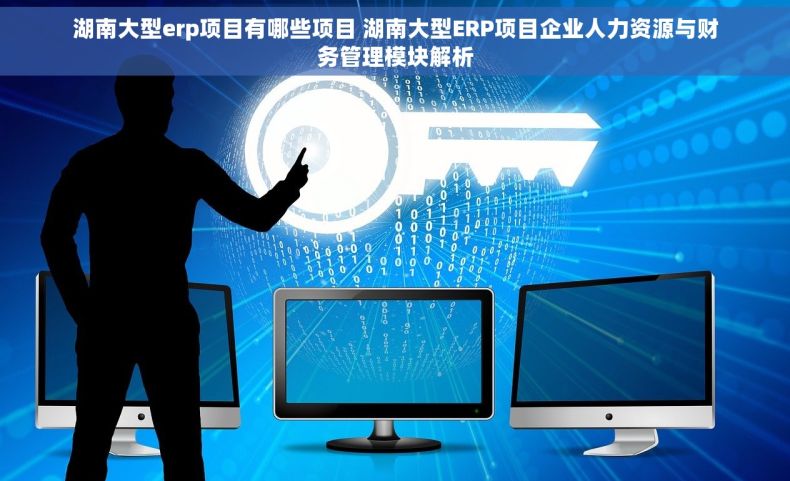 湖南大型erp项目有哪些项目 湖南大型ERP项目企业人力资源与财务管理模块解析 湖南大型erp项目有哪些项目 湖南大型ERP项目企业人力资源与财务管理模块解析