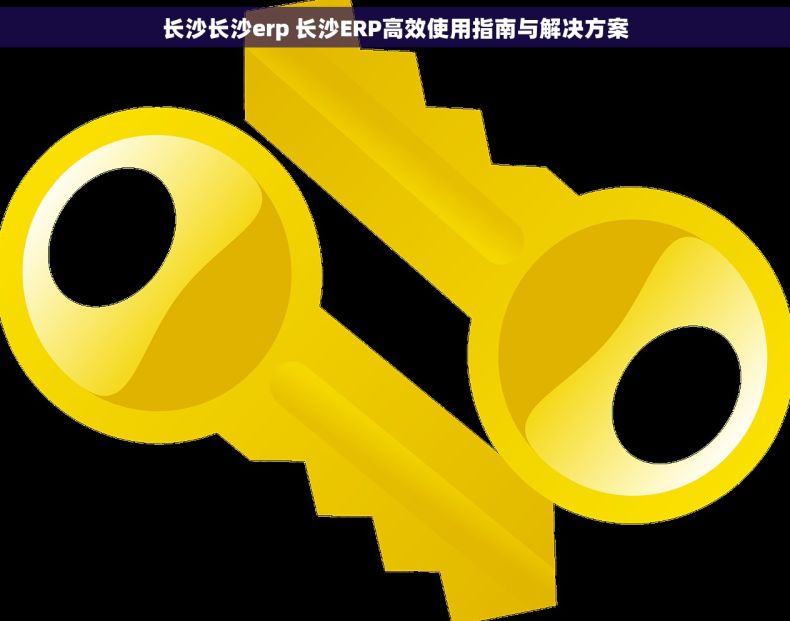 长沙长沙erp 长沙ERP高效使用指南与解决方案 长沙长沙erp 长沙ERP高效使用指南与解决方案